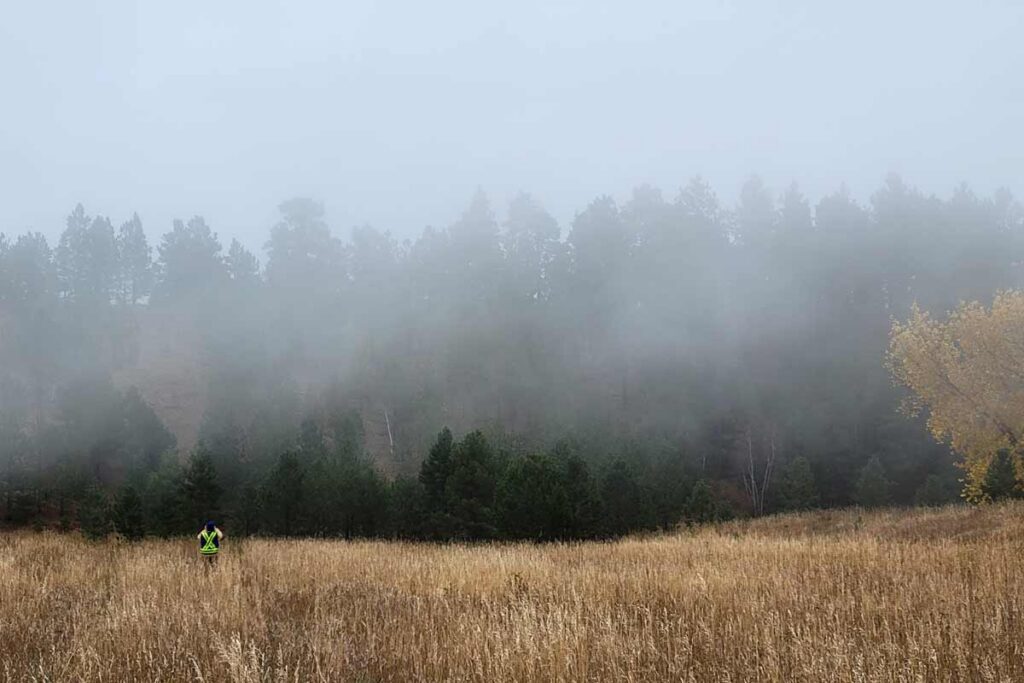 Sustainable mine closure services supporting long-term mine water management and environmental stewardship.